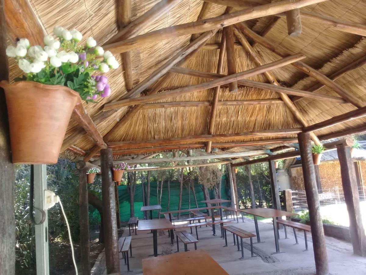 Cabanas Alto Bermejo Villa Mendoza Exteriör bild